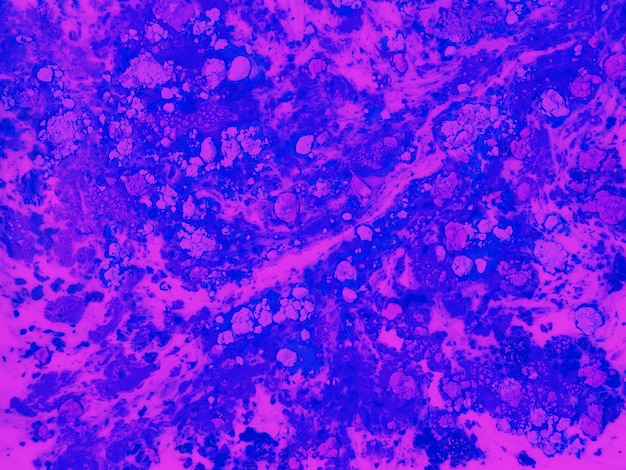 Gratis foto kleurrijk geschilderd roze blauw water