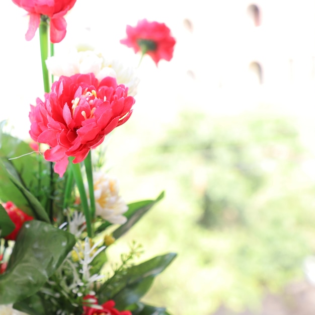 Kleurrijke bloemen achtergrond