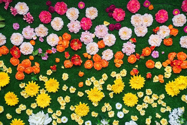 Kleurrijke bloemen en groen gras