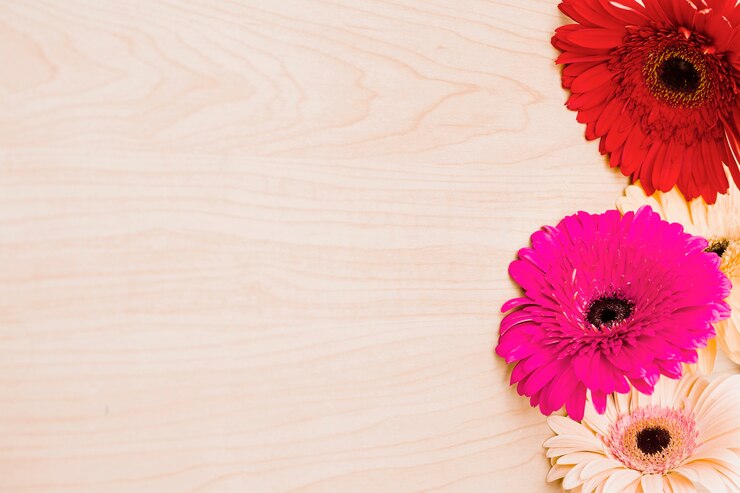 Gratis Foto kleurrijke gerberabloemen op houten bureau