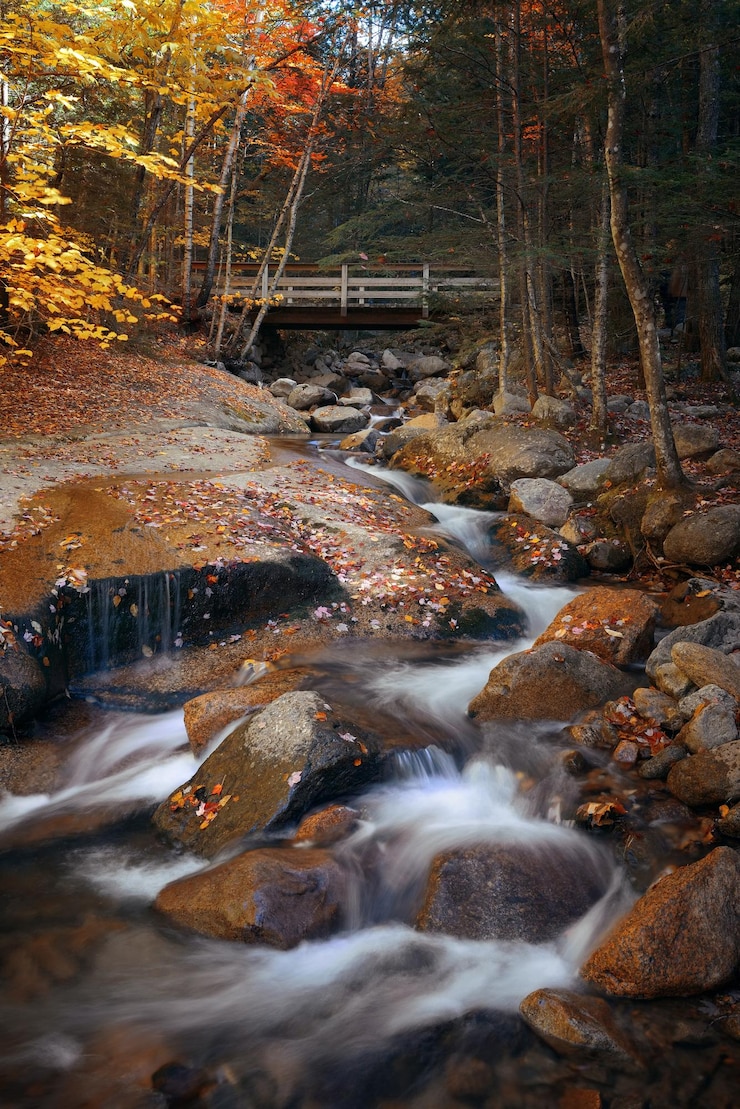 Kleurrijke herfst kreekbrug, White Mountain, New Hampshire.