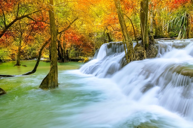 Kleurrijke majestueuze waterval in nationaal parkbos tijdens de herfst