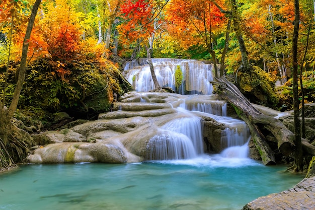 Gratis foto kleurrijke majestueuze waterval in nationaal parkbos tijdens de herfst