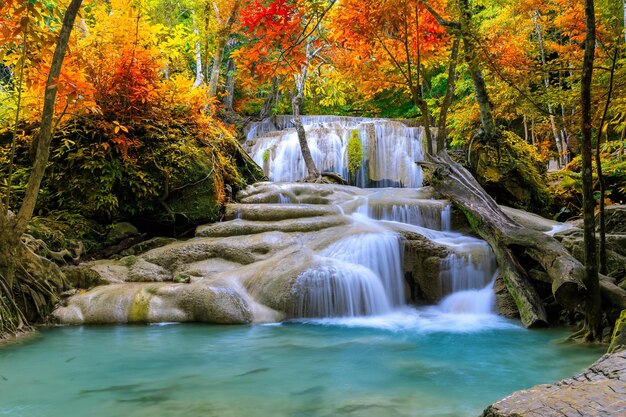 Kleurrijke majestueuze waterval in nationaal parkbos tijdens de herfst