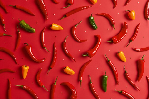 Kleurrijke pittige chili pepers geïsoleerd op rode achtergrond. Hete groene gele en rode peper gebruikt om sterke curry te bereiden. Kruiden die in de tuin worden gekweekt. Voeding en voedselconcept. Creatieve compositie