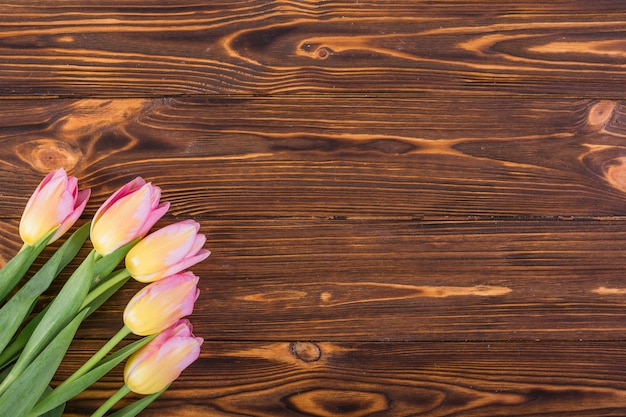 Kleurrijke tulpen in de hoek