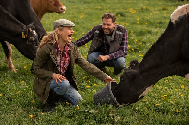 Gratis foto koeien grazen rond de boerderij