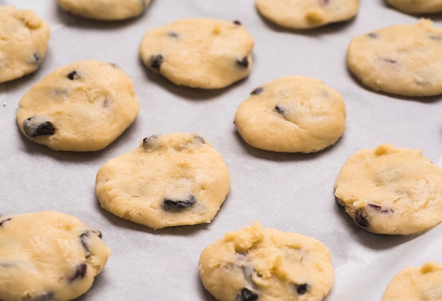 Koekjes van de close-up de smakelijke chocoladeschilfer