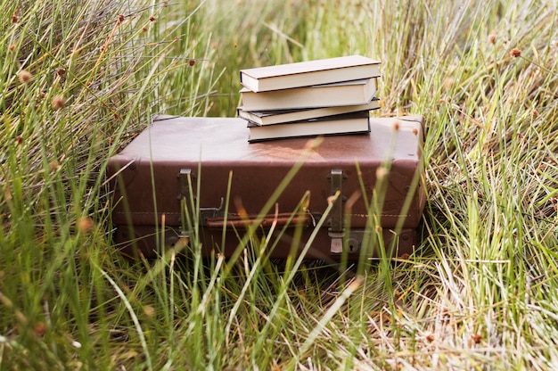 Koffer met boeken op de top in het gras