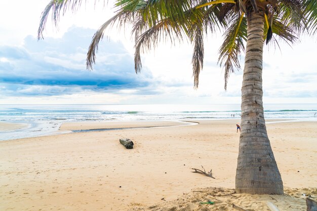 Kokosboom met tropisch strand