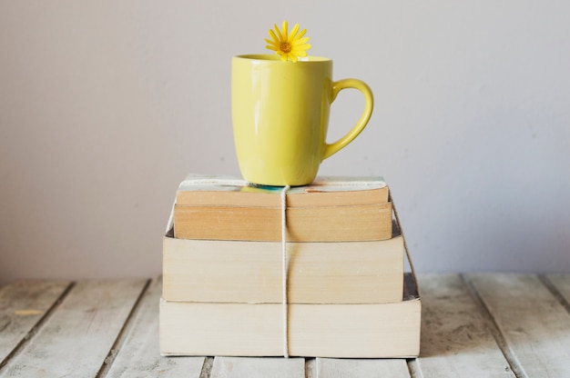 Gratis foto kop op stapel boeken