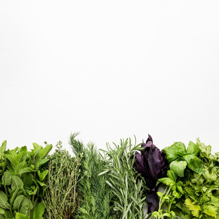 Gratis Foto kopieerruimte maakt kruiden groen