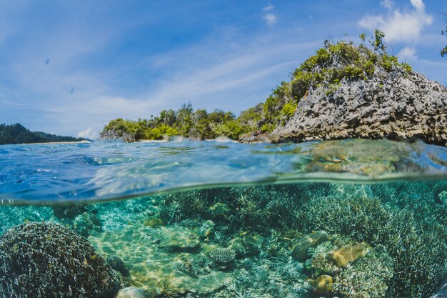 Koraalriffen onder het oppervlak van een eiland