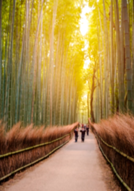 Kyoto, japan - 12 november: het pad naar bamboebos in kyoto, japan op november 2015. kyoto is een van de beroemdste toeristische bestemmingen in japan.