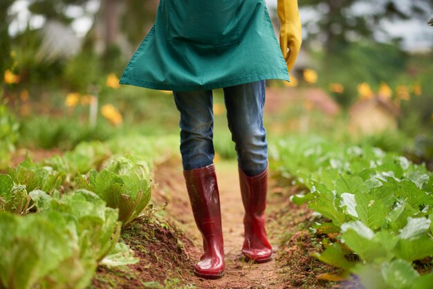 Laag gedeelte van anonieme boer in rubberlaarzen die langs de tuinbedden lopen