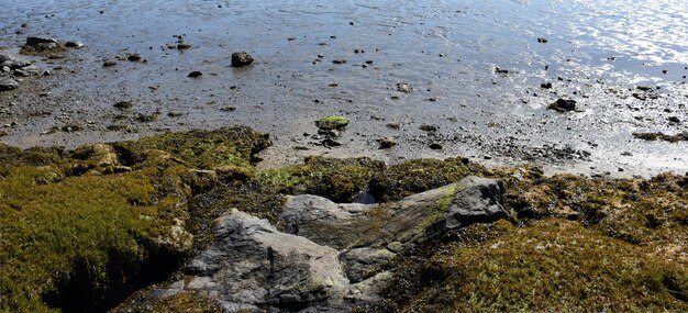 Laagwater langs de kust van de Atlantische Oceaan