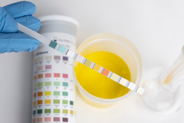 Gratis foto laboratoriumarts die medisch onderzoek van urine uitvoert