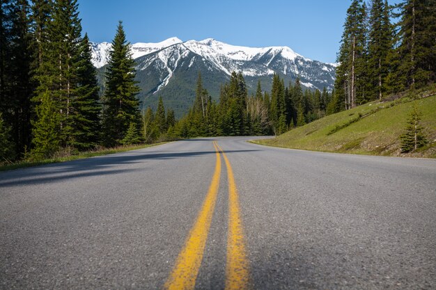 Lage hoek shot van een snelweg, omgeven door een bos en de besneeuwde bergen