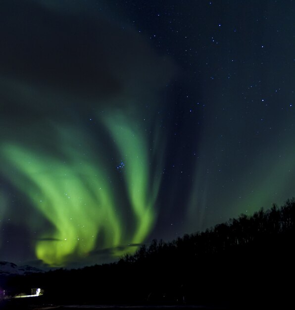 Lage hoek sot van groene Aurora Borealis in Noorwegen