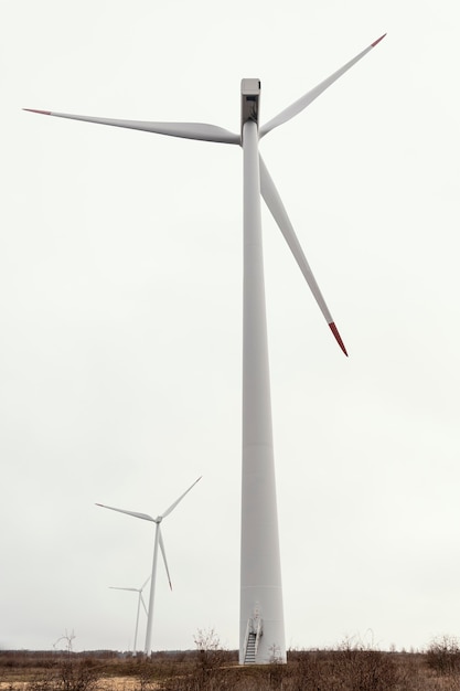 Lage hoek van windturbines in het veld