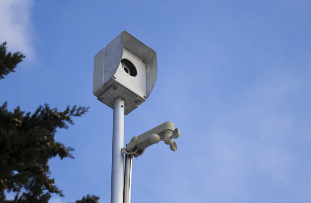 Lage hoekmening van een straatcamera die door bomen onder het zonlicht en een blauwe hemel wordt omringd