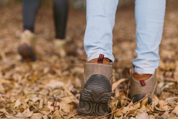 Gratis foto lage sectiemening van vrouwen die in bos lopen