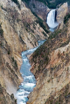 Lagere yellowstone-watervallen