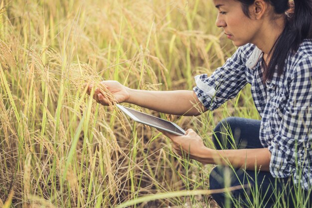 Landbouwer die zich in een padieveld met een tablet bevindt.