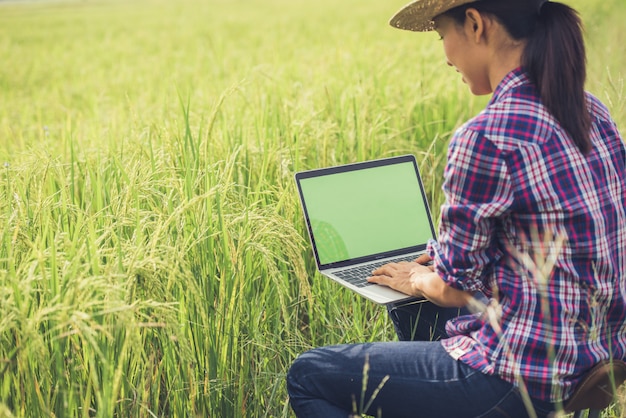 Landbouwer in padieveld met laptop