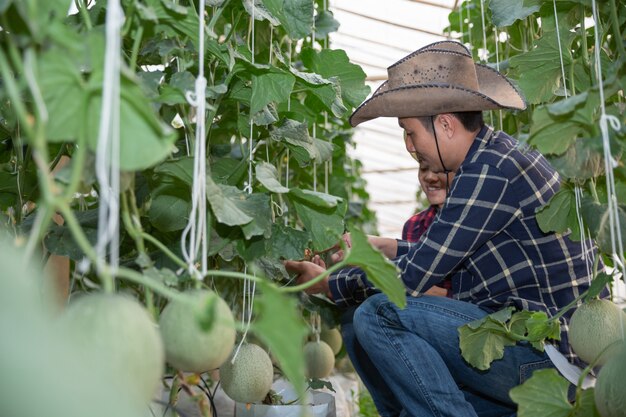 Landbouwonderzoeker met de tablet inspecteert langzaam planten.