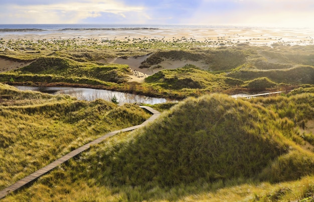 Landschap dat op een zonnige dag in Duinen Amrum, Duitsland is ontsproten