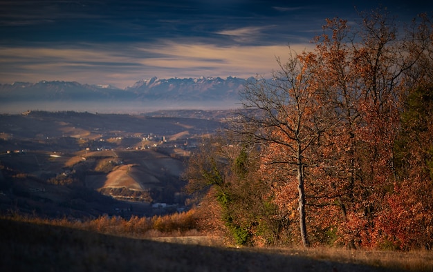 Landschap dat van een overzicht langhe Piemonte Italië is ontsproten met een duidelijke witte hemel