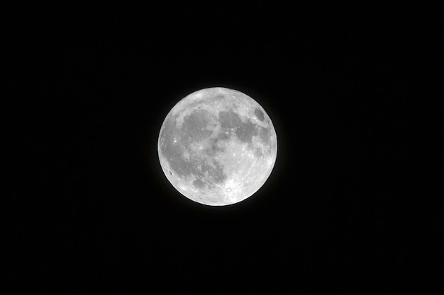 Landschap dat van een witte volle maan is ontsproten met zwarte kleur op de achtergrond