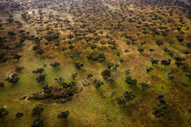 Landschap in Dehesa de la Luz, Extremadura, Spanje