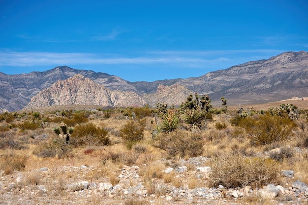 Landschap in Red Rock Canyon, Nevada, Verenigde Staten