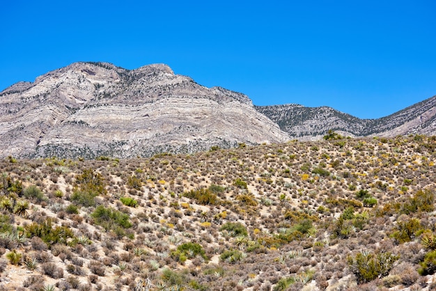 Landschap in Red Rock Canyon, Nevada, Verenigde Staten