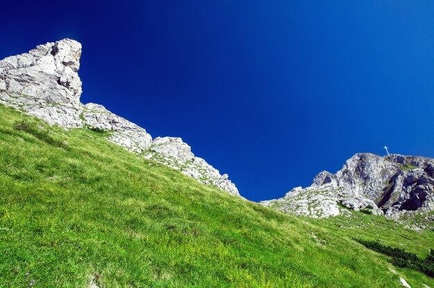 Landschap met gras en rotsachtige bergen