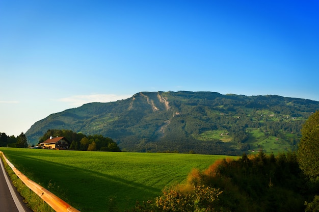 Landschap met grote groene bergweide in in de alpen van zwitserland.