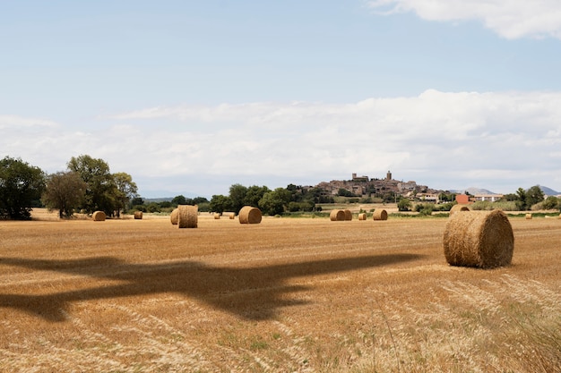 Landschap met vliegtuig dat in de lucht vliegt