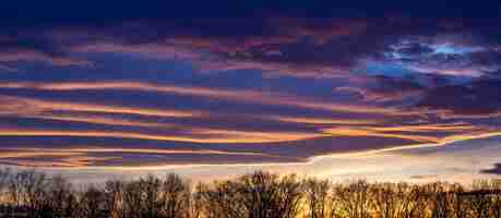 Gratis foto landschap van boomsilhouetten onder een bewolkte hemel tijdens een mooie roze zonsondergang