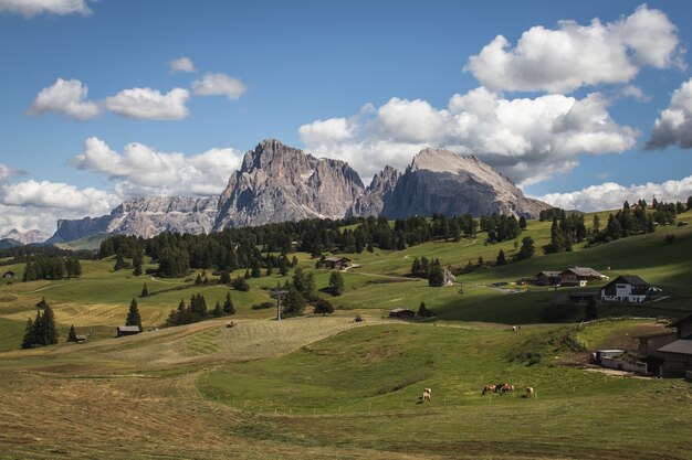 Landschap van de rotsachtige Seiser Alm en brede weilanden in Compatsch Italië