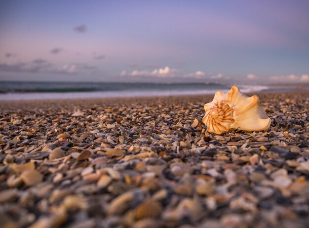 Landschap van een adembenemende zonsondergang op het strand in Oost-Florida