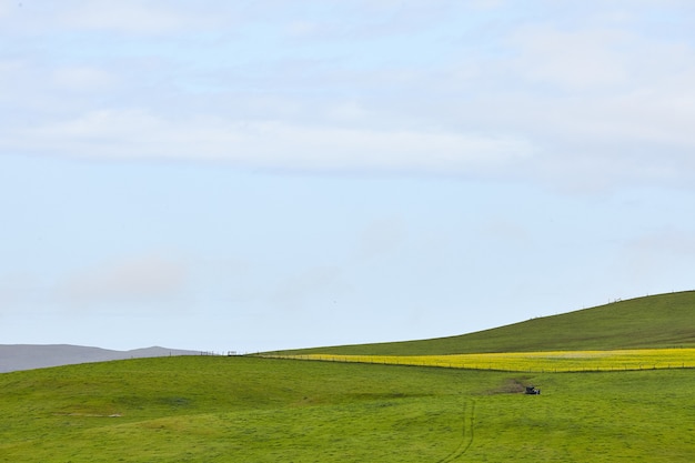 Landschap van een glooiend boerderijland onder de heldere hemel in petaluma, californië, vs.