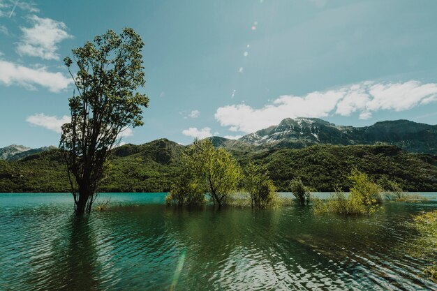 Landschap van een meer dat door bergen wordt omringd