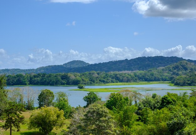 Landschap van een meer omgeven door heuvels bedekt met groen onder een blauwe hemel overdag