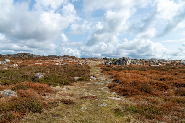 Gratis foto landschap van een veld bedekt met gras en rotsen onder een bewolkte hemel overdag