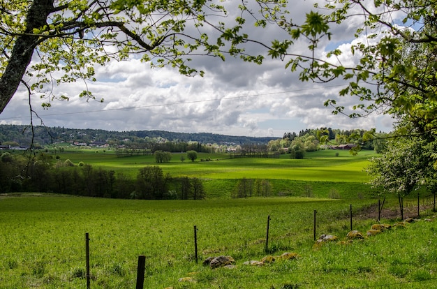Gratis foto landschap van een veld bedekt met groen onder een bewolkte hemel overdag