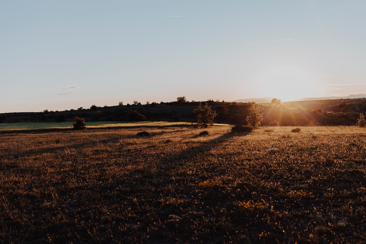 Gratis Foto landschap van een zonsondergang in een heldere dag