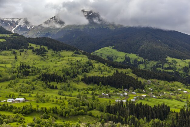 Landschap van heuvels bedekt met bossen, sneeuw en mist onder een bewolkte hemel overdag