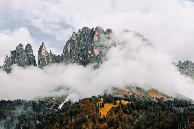 Landschap van rotsen die door bossen worden omringd die in de mist onder een bewolkte hemel worden behandeld